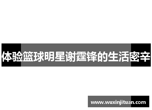 体验篮球明星谢霆锋的生活密辛